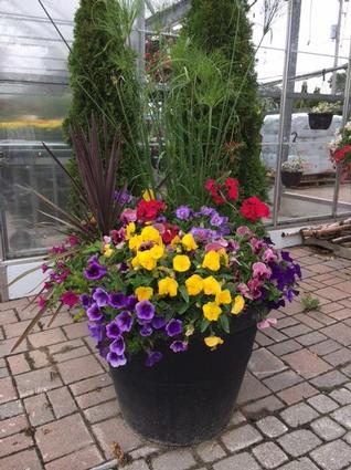 Front of Store Planters