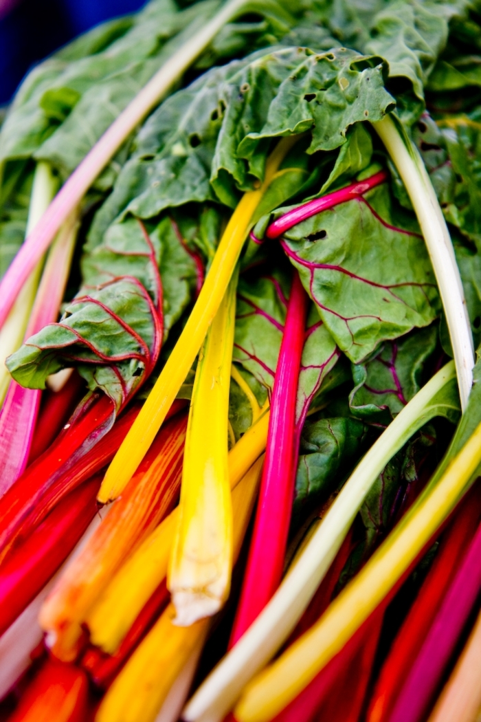 Rainbow Culinary Couture™ Swiss Chard - Swiss Chard 'Rainbow Culinary Couture™' from Scotts Garden Centre Rainbow Culinary Couture™ Swiss Chard - Swiss Chard 'Rainbow Culinary Couture™' from Scotts Garden Centre