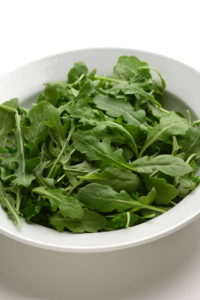 Arugula - Arugula sativa from Scotts Garden Centre Arugula - Arugula sativa from Scotts Garden Centre