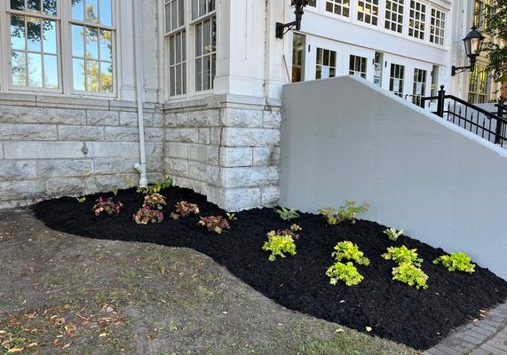 Shady Garden Project
