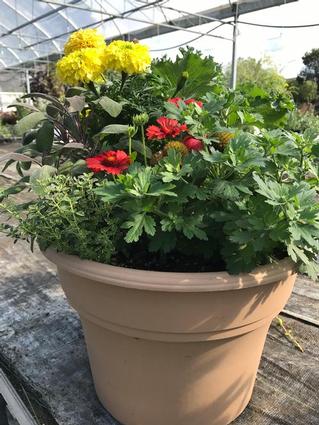 Mixed Fall Planter