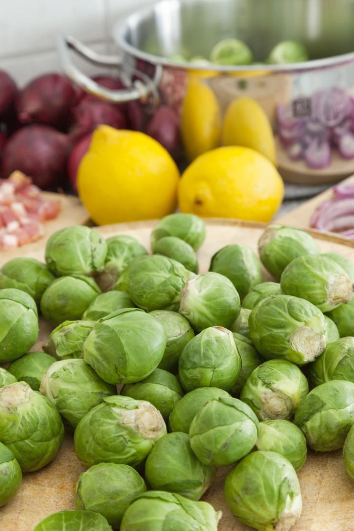 Brassica oleracea Long Island