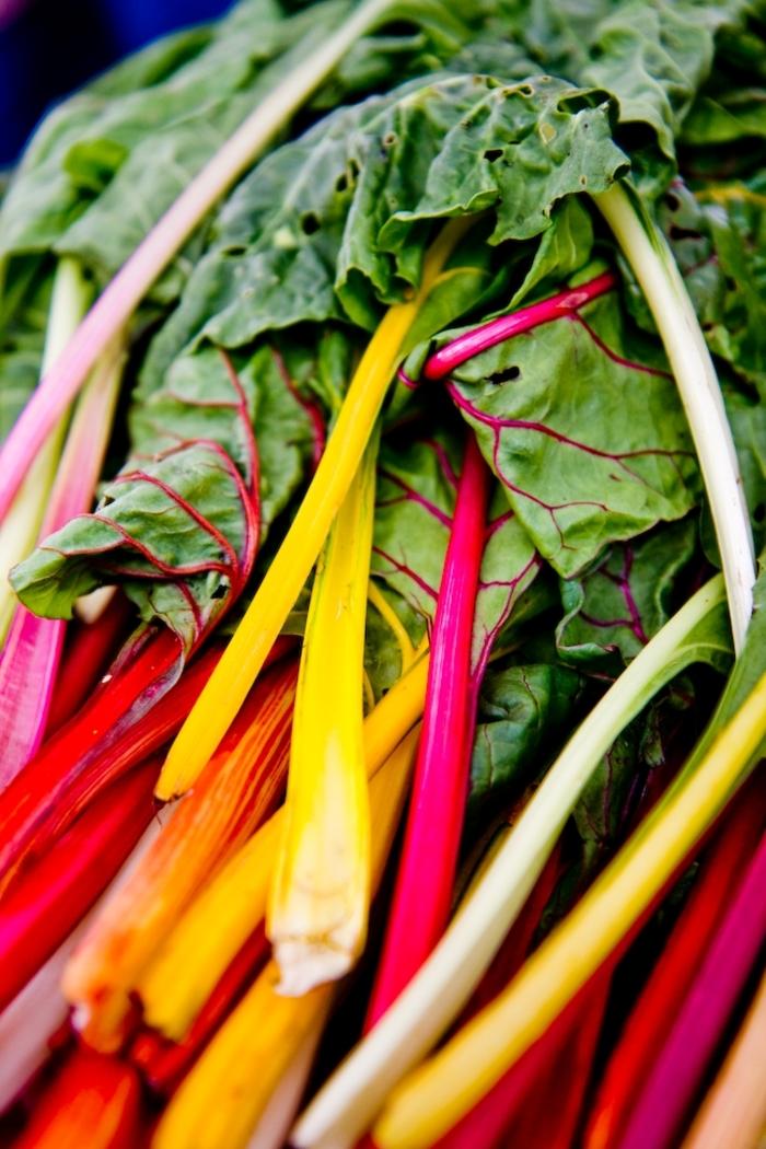 Beta vulgaris Rainbow Culinary Couture™