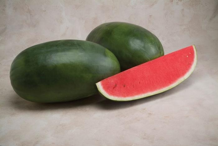 Citrullus Verde Grande F1