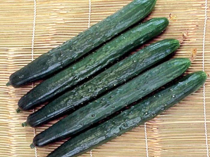 Cucumis Tasty Green F1