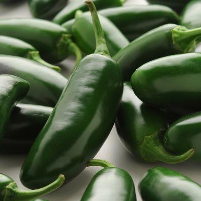 Capsicum annuum La Bomba