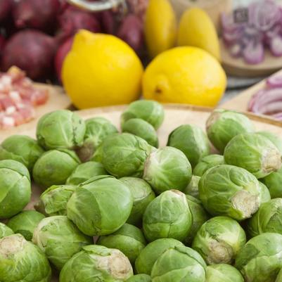 Brassica oleracea Long Island