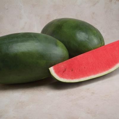 Citrullus Verde Grande F1
