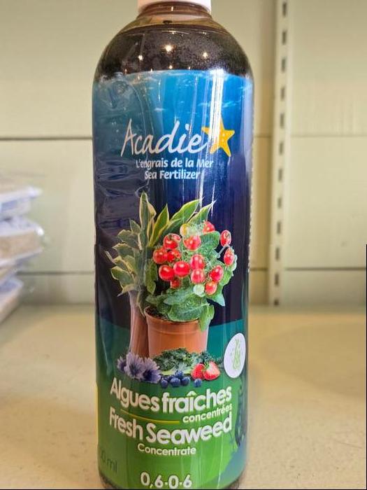 Seaweed Fertilizer Organic