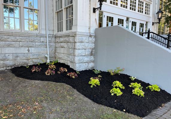 Landscaping Projects