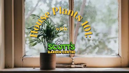 Easy Plants for New Plant Parents