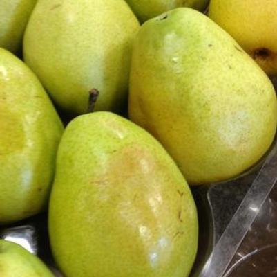 Pyrus Anjou Fruit 