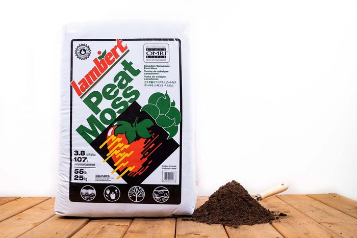 Peat Moss